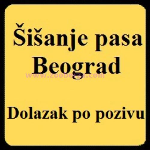Sisanje pasa Beograd