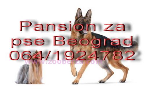 Pansion za pse Beograd